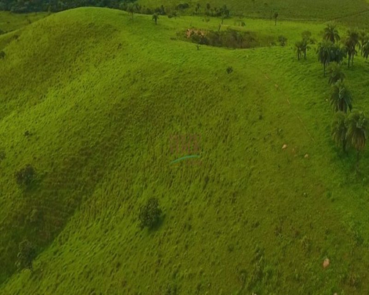 Fazenda de 850 ha em Luz, MG