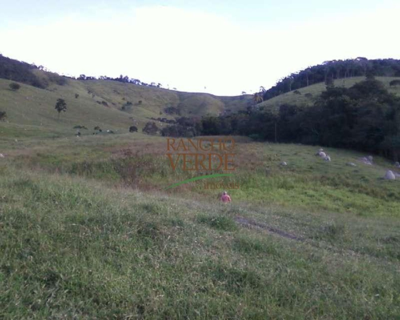 Fazenda de 126 ha em Redenção da Serra, SP