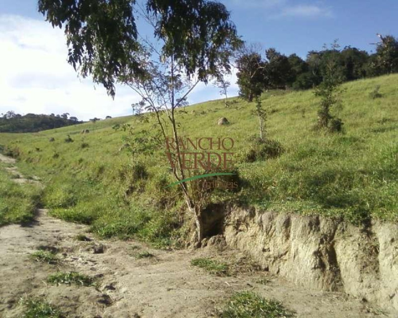 Fazenda de 126 ha em Redenção da Serra, SP