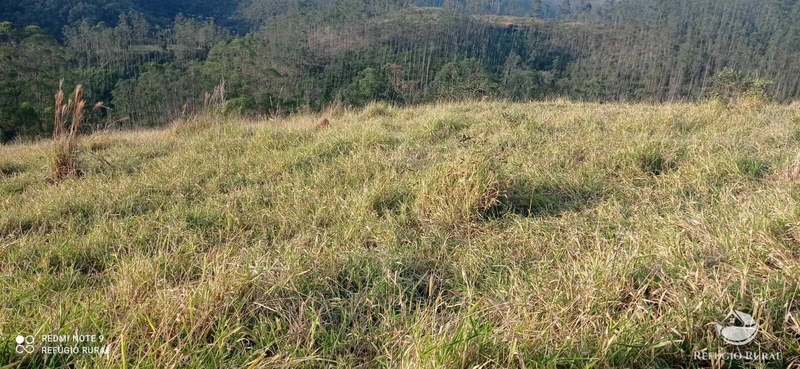 Terreno de 5 ha em São José dos Campos, SP