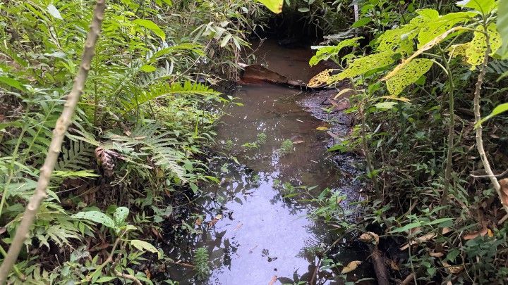 Terreno de 3 ha em Santo Antônio da Patrulha, RS