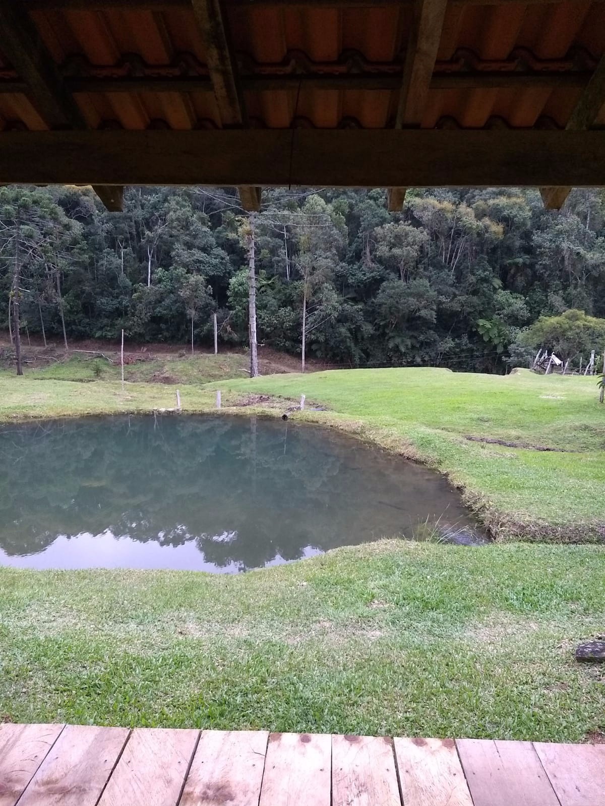 Fazenda de 68 ha em São José do Barreiro, SP