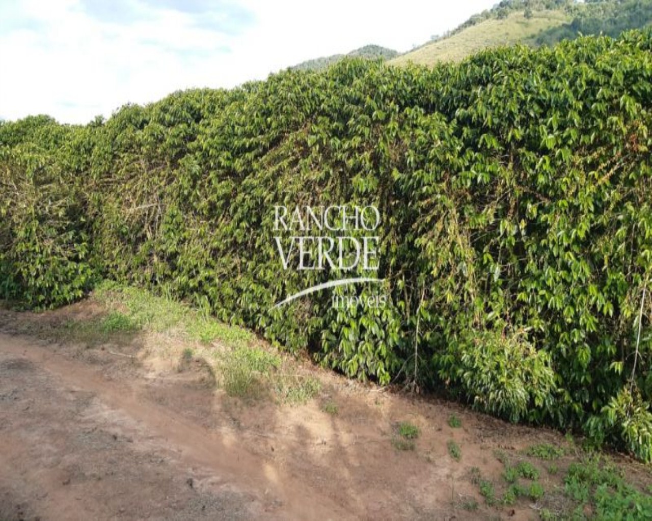 Fazenda de 303 ha em Pouso Alegre, MG