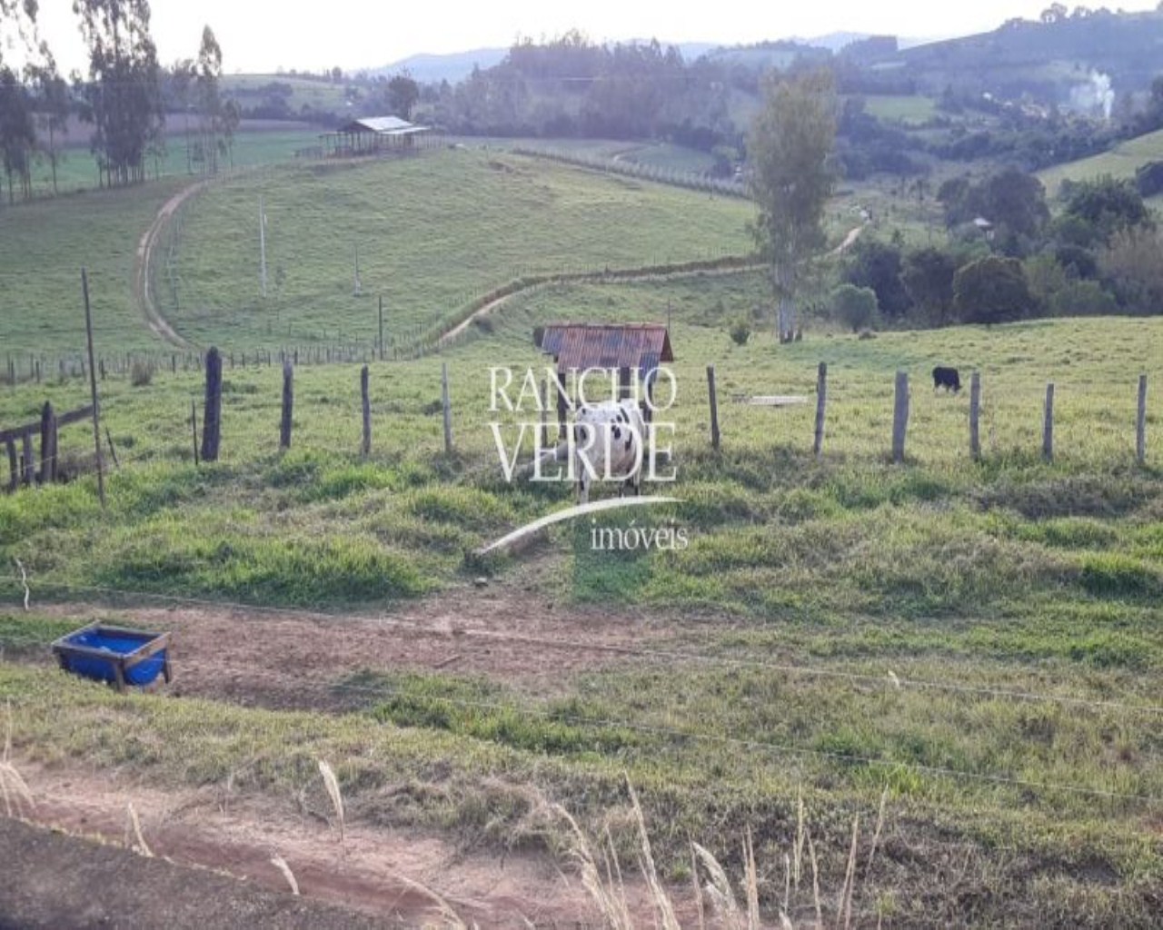 Fazenda de 303 ha em Pouso Alegre, MG