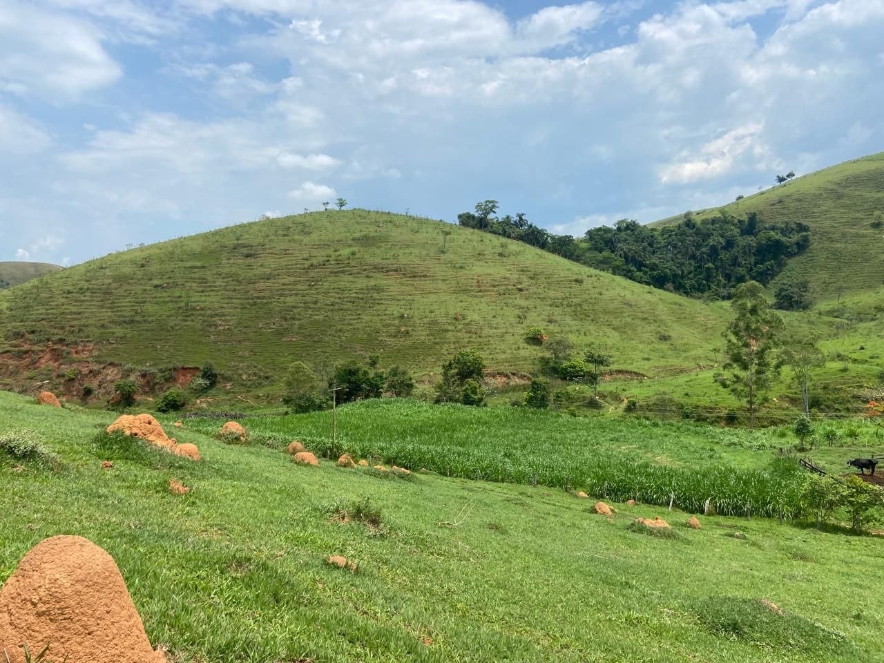 Fazenda de 174 ha em Lorena, SP