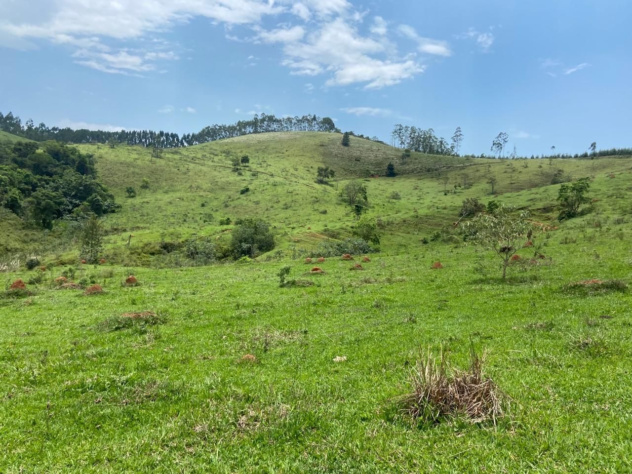 Fazenda de 174 ha em Lorena, SP