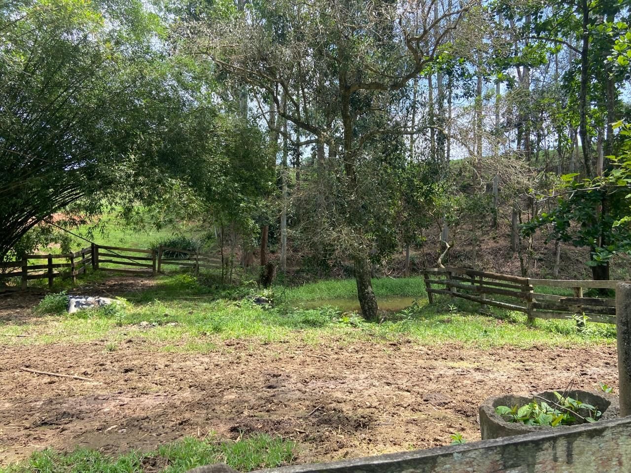 Fazenda de 174 ha em Lorena, SP