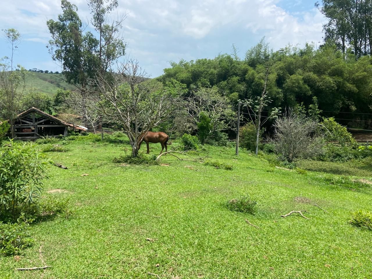 Fazenda de 174 ha em Lorena, SP