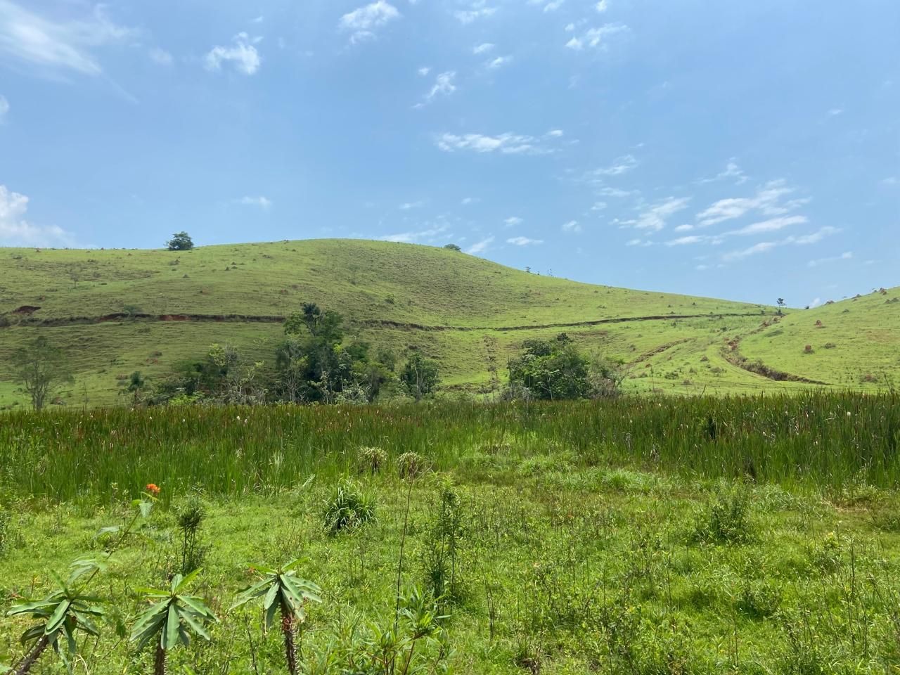 Fazenda de 174 ha em Lorena, SP