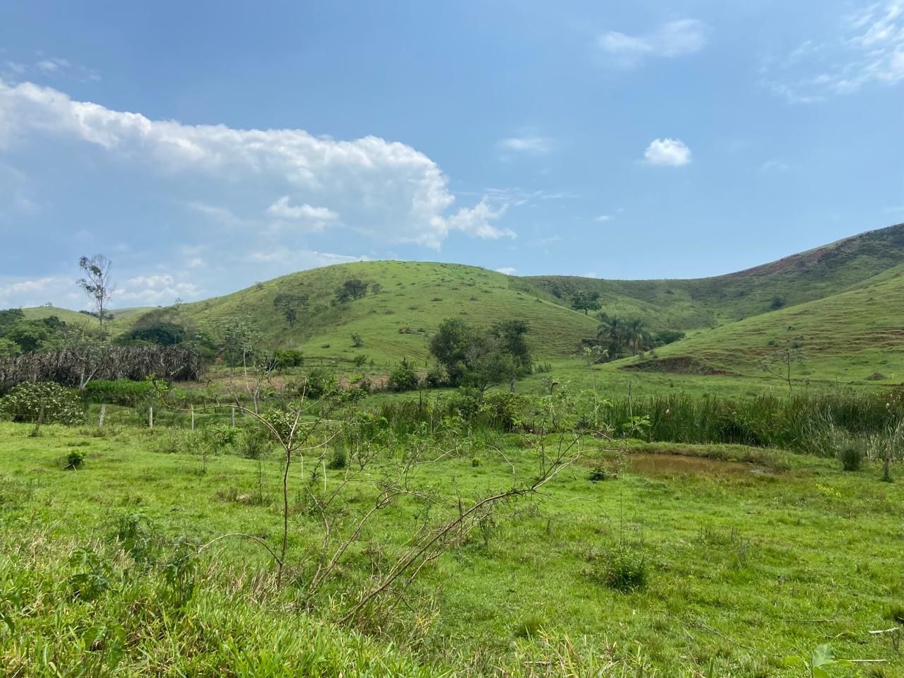 Fazenda de 174 ha em Lorena, SP