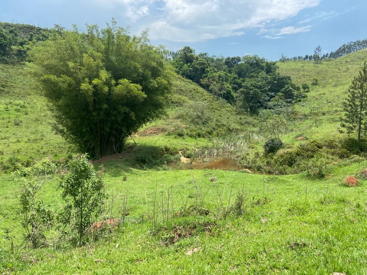 Fazenda de 174 ha em Lorena, SP