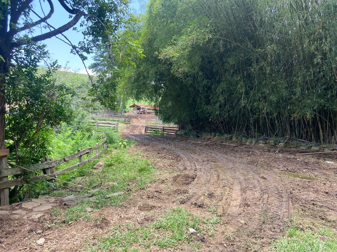 Fazenda de 174 ha em Lorena, SP