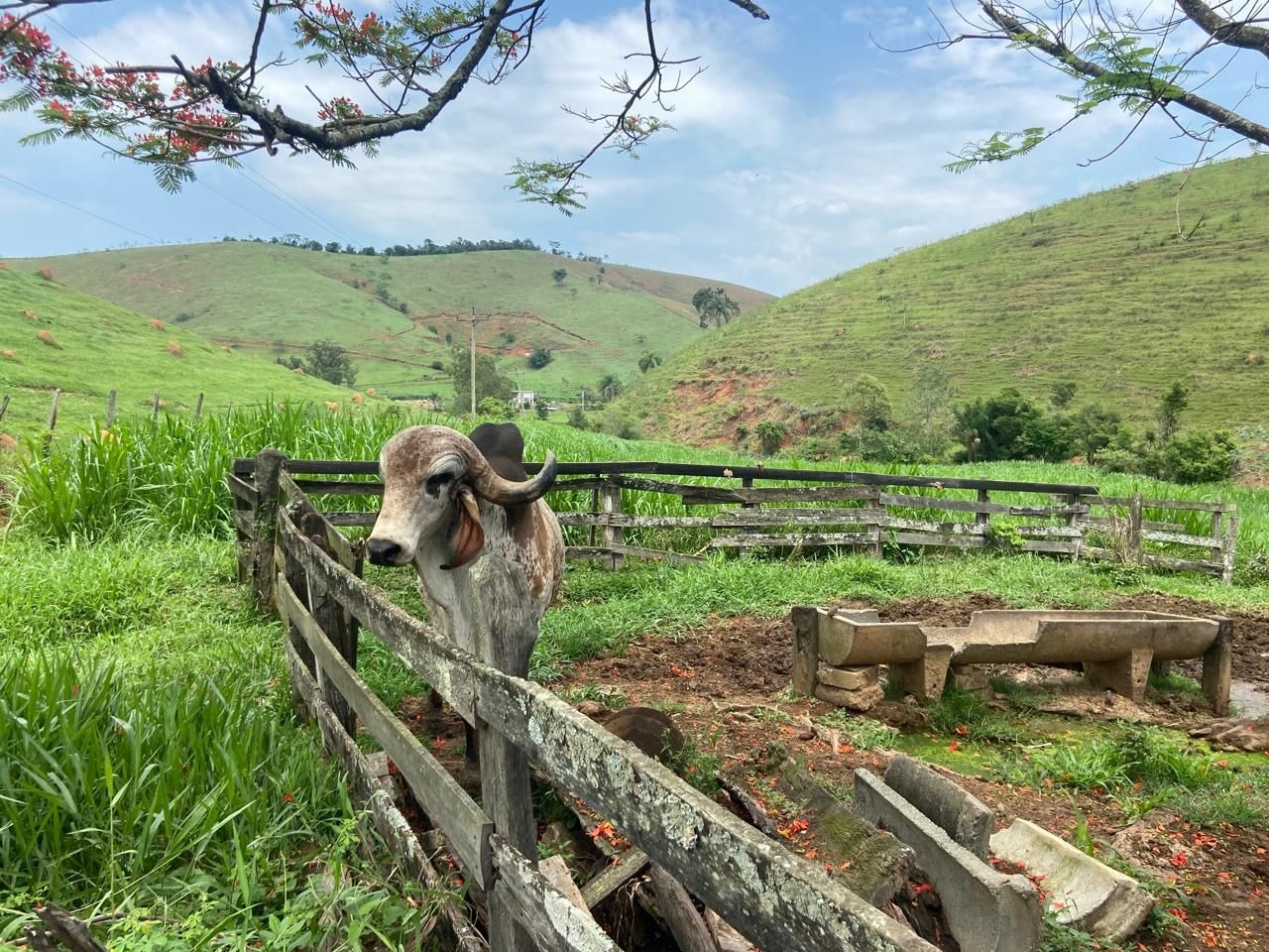 Fazenda de 174 ha em Lorena, SP