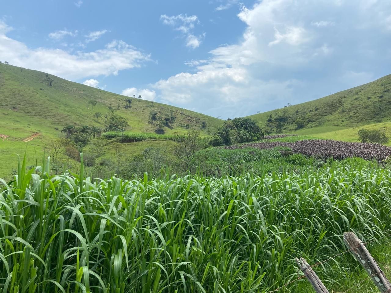 Fazenda de 174 ha em Lorena, SP