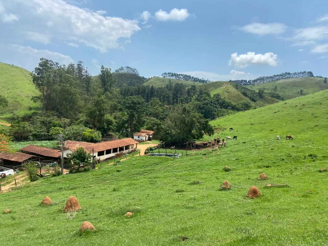 Fazenda de 174 ha em Lorena, SP