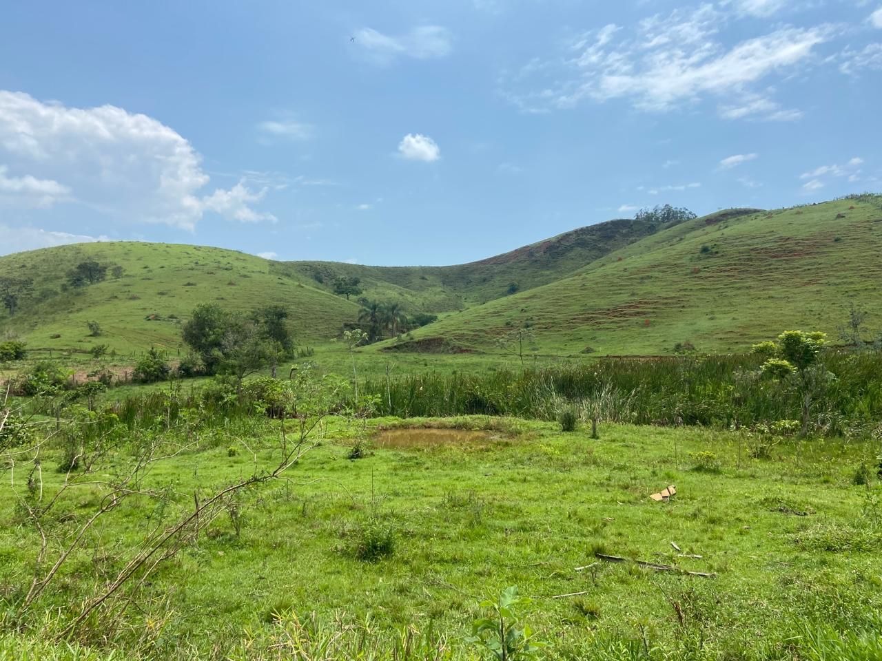 Fazenda de 174 ha em Lorena, SP