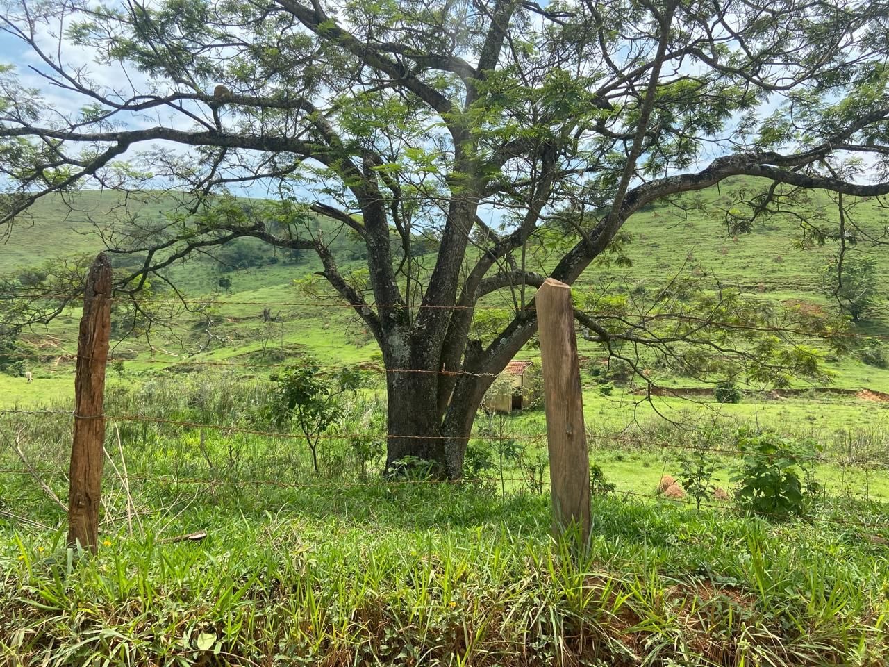 Fazenda de 174 ha em Lorena, SP