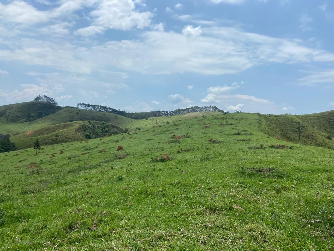 Fazenda de 174 ha em Lorena, SP