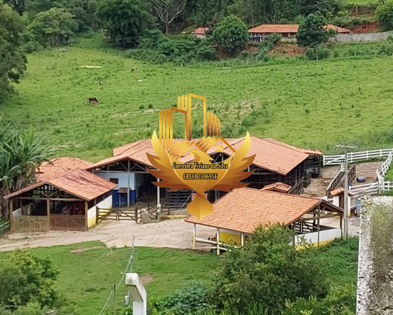 Fazenda de 30 ha em Cunha, SP