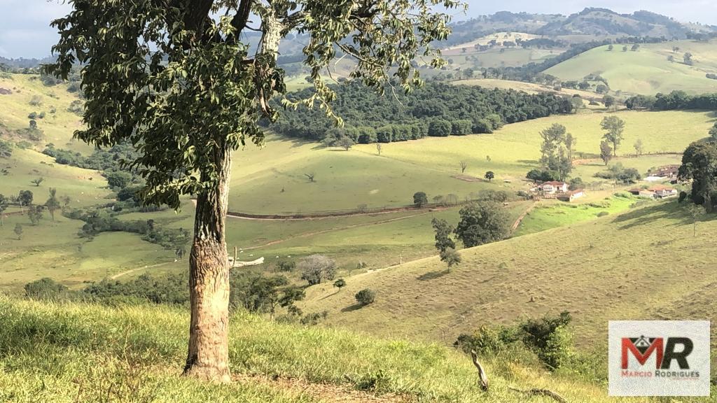 Terreno de 55 ha em Cachoeira de Minas, MG