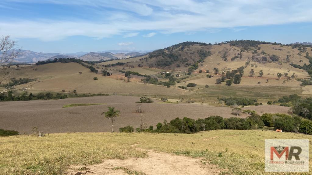 Terreno de 55 ha em Cachoeira de Minas, MG