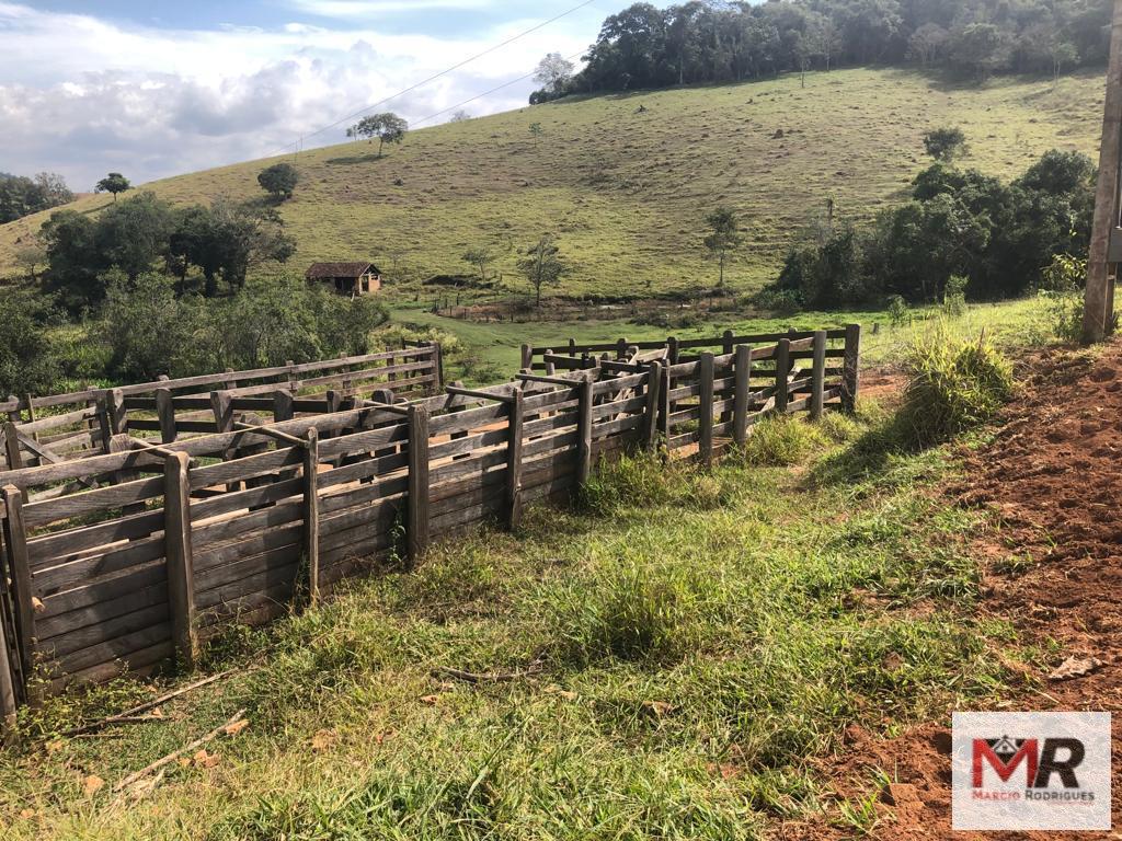 Terreno de 55 ha em Cachoeira de Minas, MG