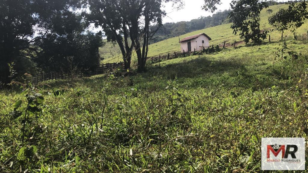 Terreno de 55 ha em Cachoeira de Minas, MG