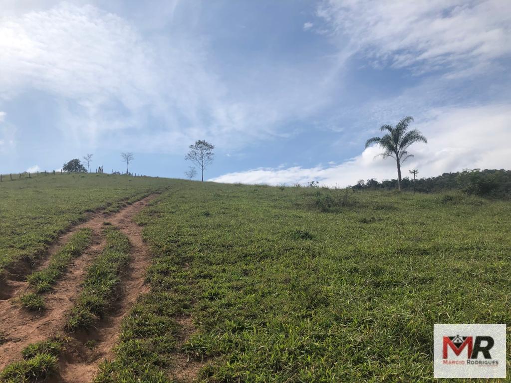 Terreno de 55 ha em Cachoeira de Minas, MG