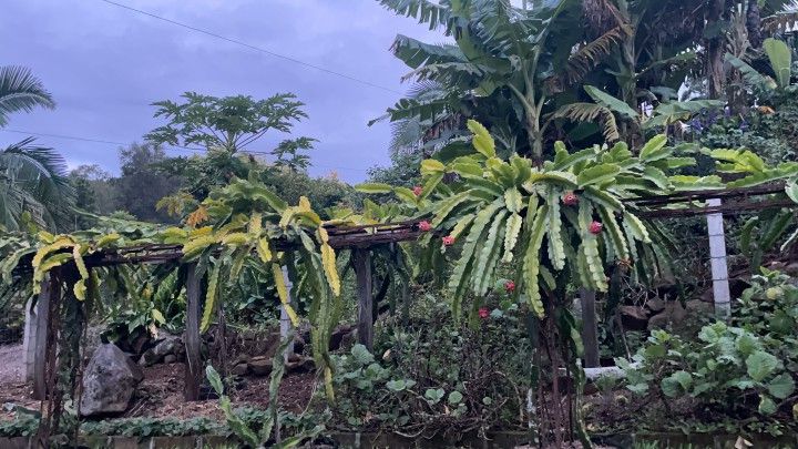 Chácara de 1.000 m² em Osório, RS