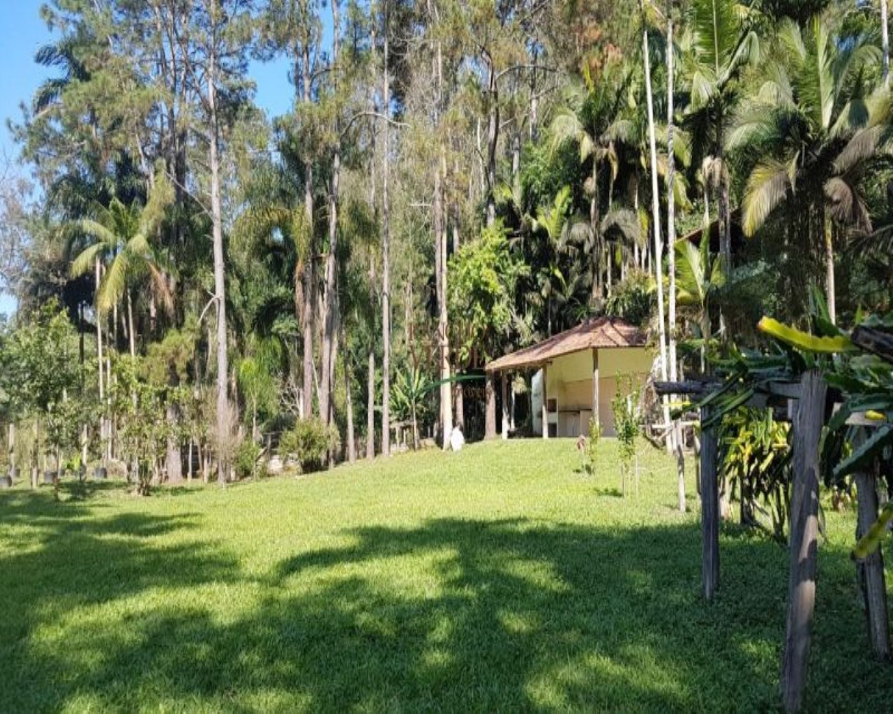 Fazenda de 9 ha em Jambeiro, SP