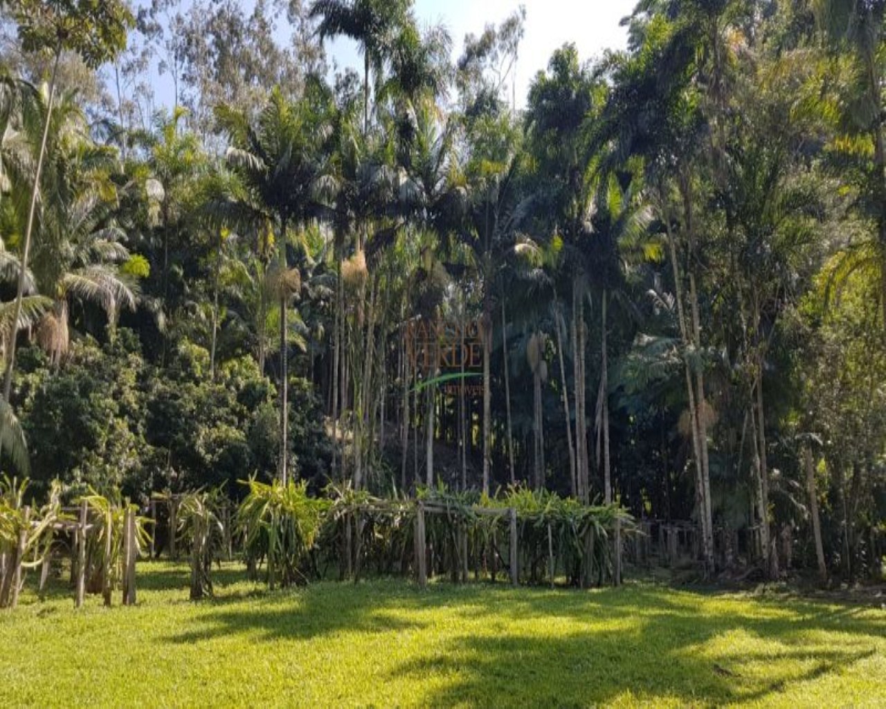 Fazenda de 9 ha em Jambeiro, SP