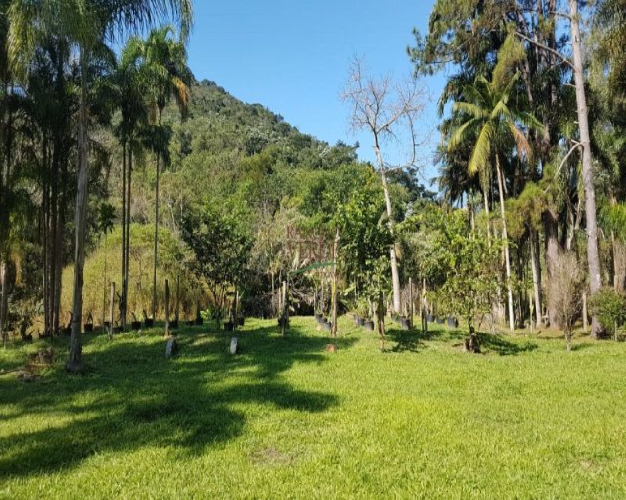 Fazenda de 9 ha em Jambeiro, SP