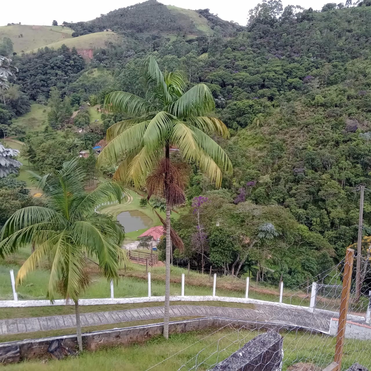 Sítio de 2 ha em Monteiro Lobato, SP