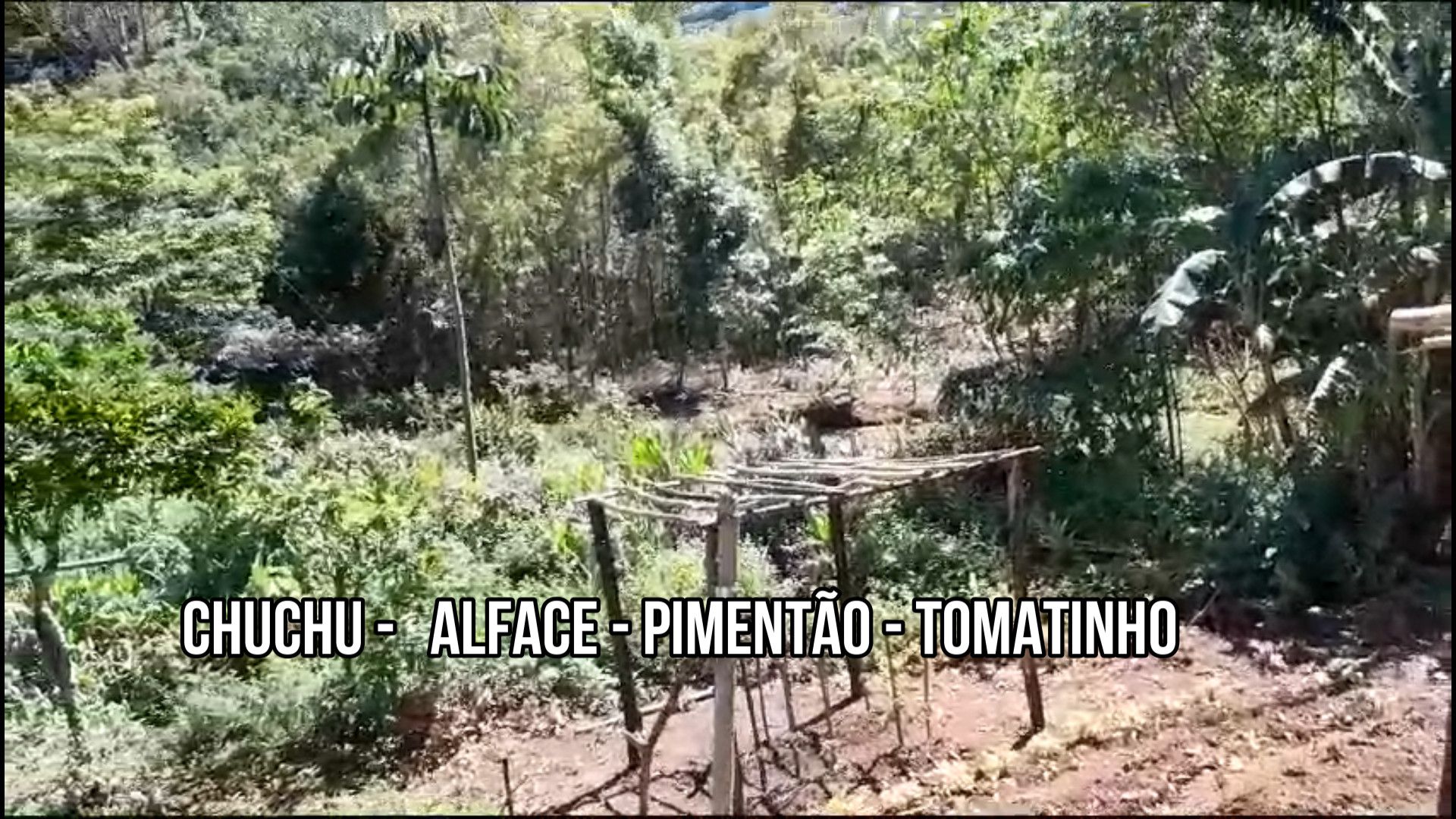 Chácara de 1.500 m² em Caraá, RS