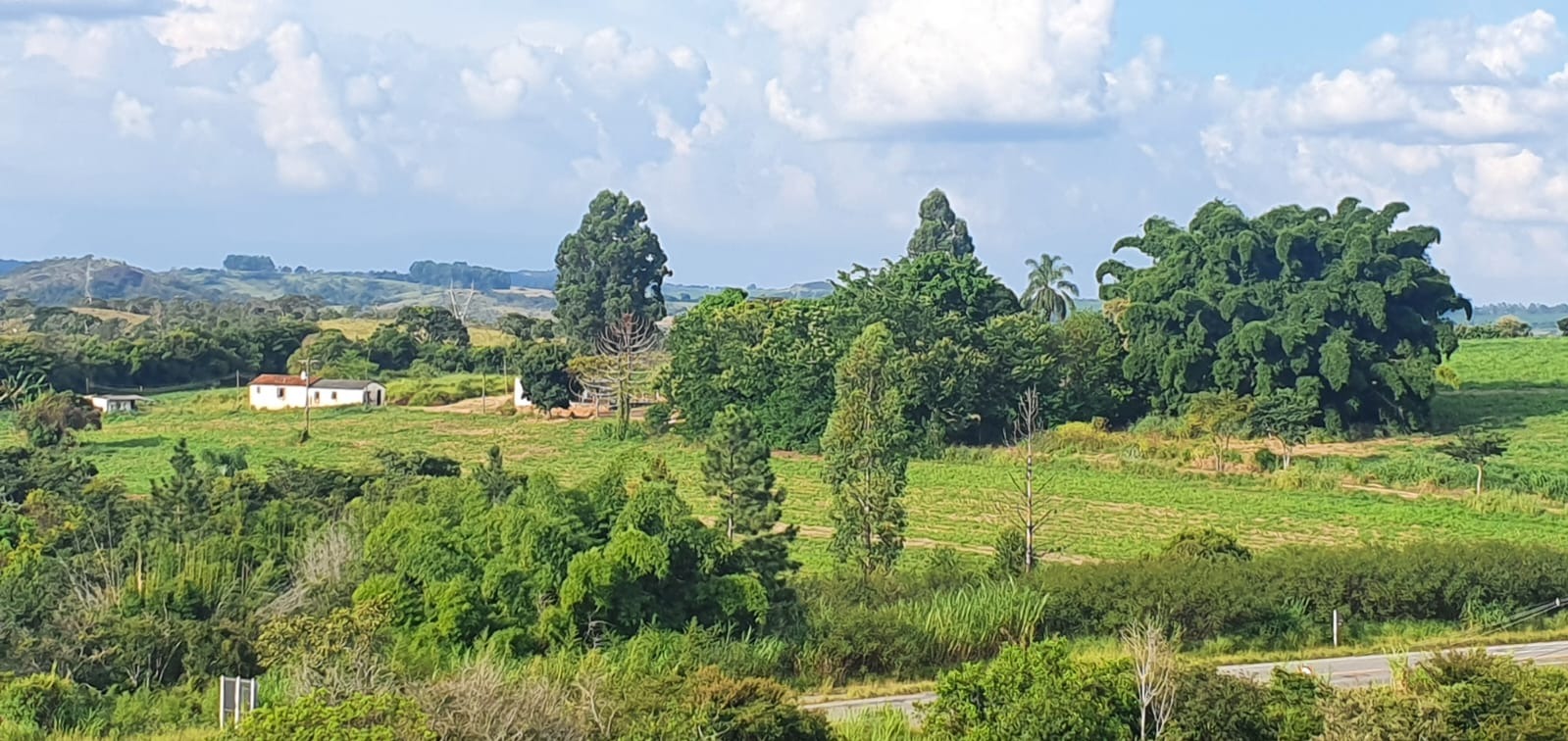 Fazenda de 19 ha em Itutinga, MG