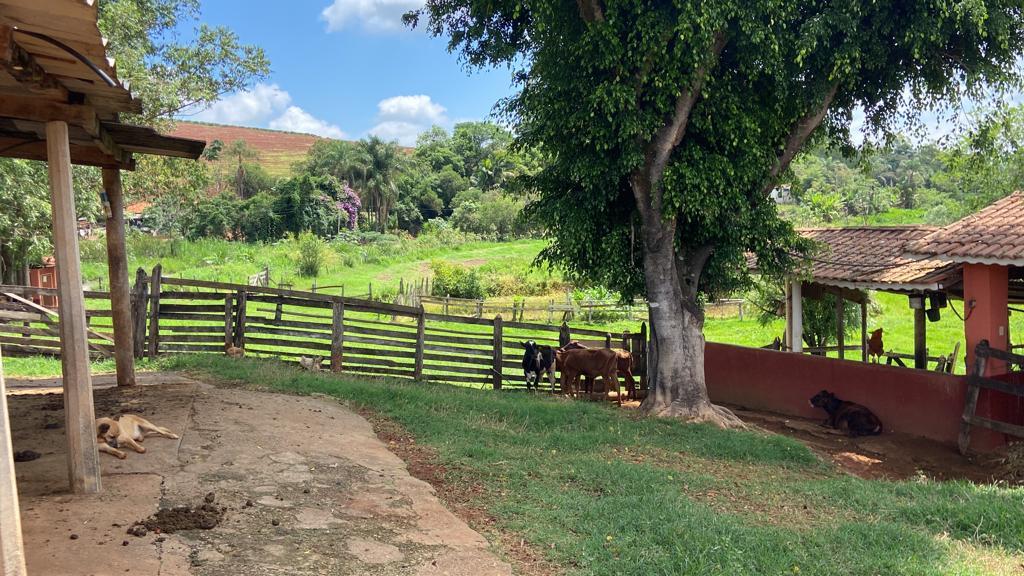 Sítio de 1 ha em São Gonçalo do Sapucaí, MG