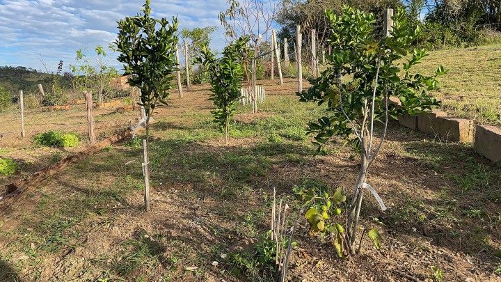 Chácara de 1.900 m² em Caraá, RS