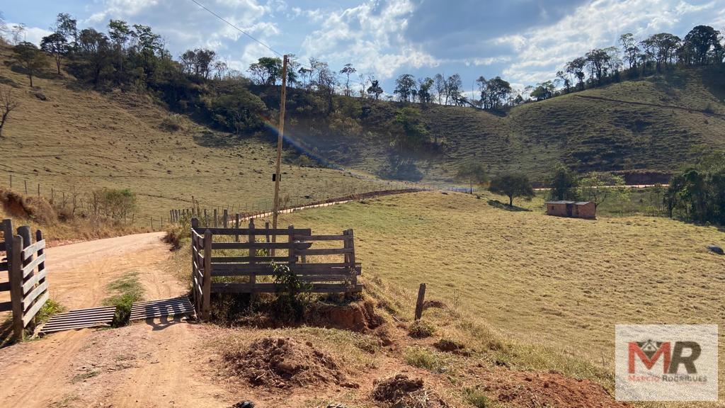 Fazenda de 87 ha em Estiva, MG