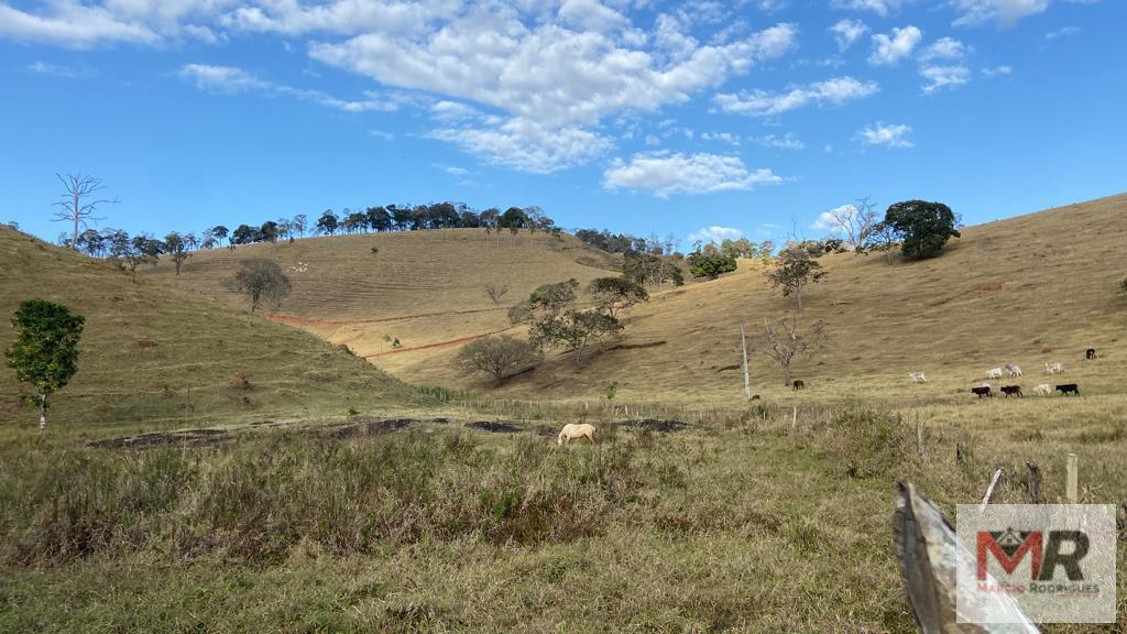 Fazenda de 87 ha em Estiva, MG