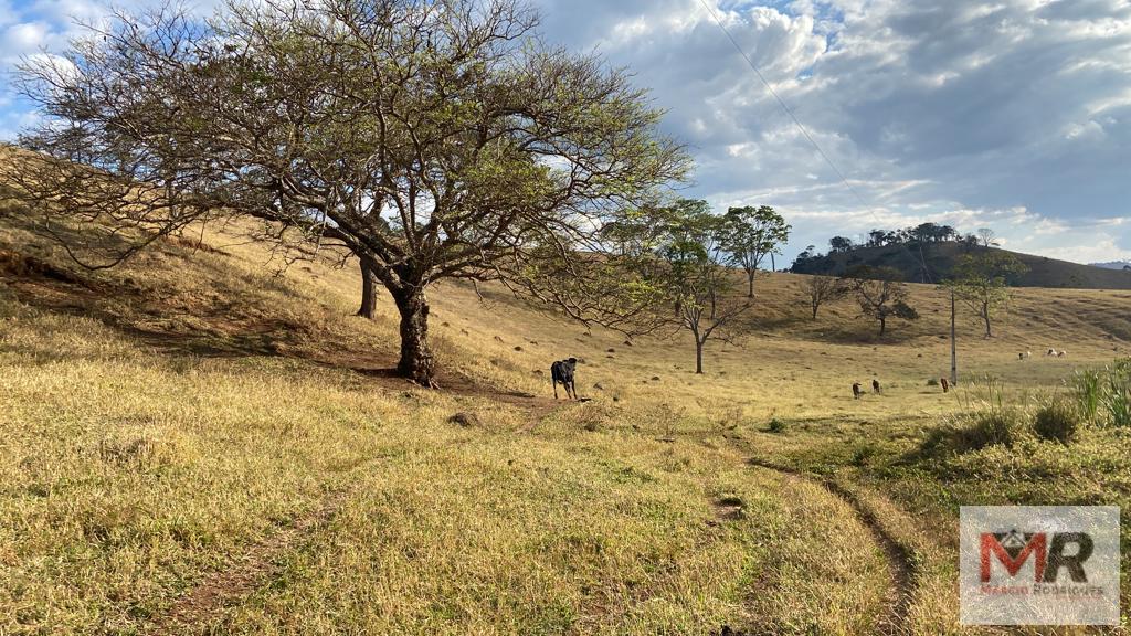 Fazenda de 87 ha em Estiva, MG