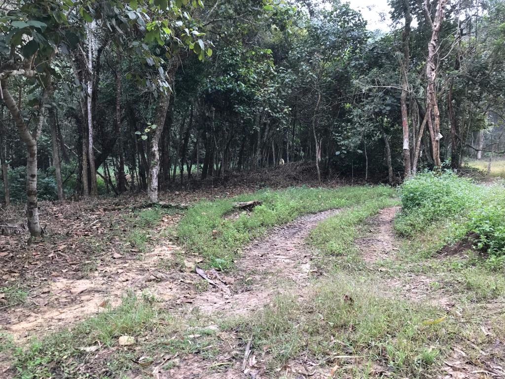 Sítio de 29 ha em Biritiba Mirim, SP