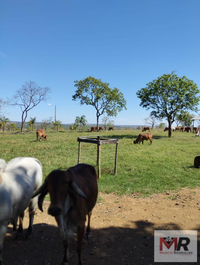 Fazenda de 20 ha em Abaeté, MG