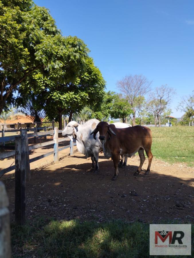 Fazenda de 20 ha em Abaeté, MG