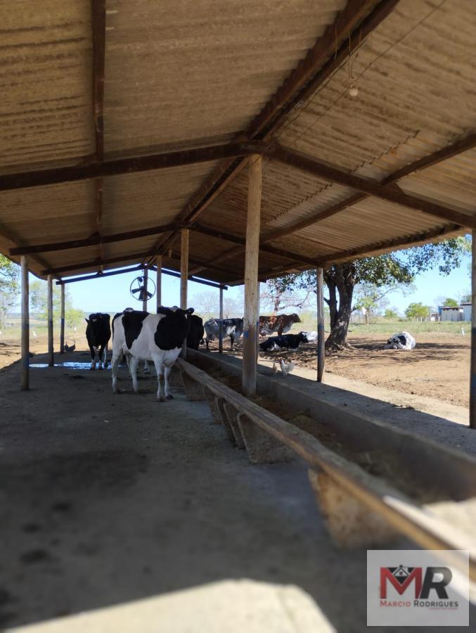 Fazenda de 20 ha em Abaeté, MG