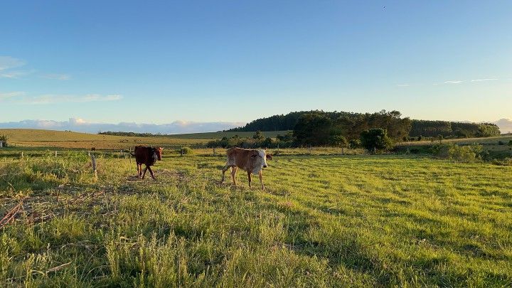 Chácara de 2 ha em Glorinha, RS