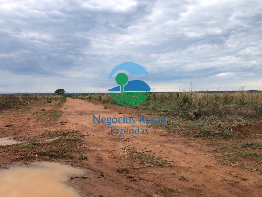 Fazenda de 1.026 ha em Jaú do Tocantins, TO