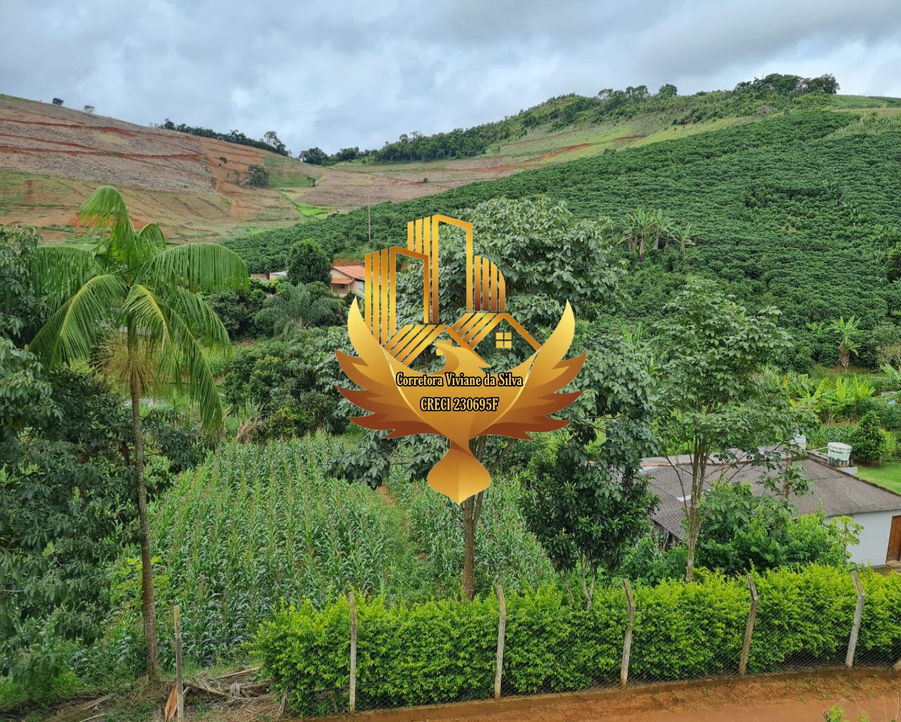 Chácara de 5.300 m² em Martins Soares, MG