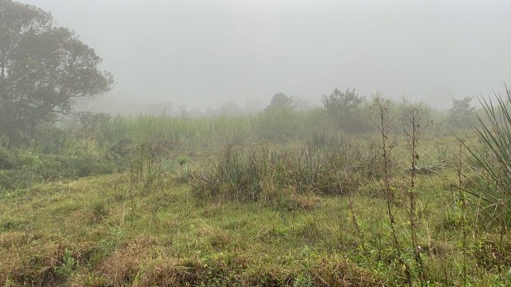 Chácara de 1 ha em Rolante, RS