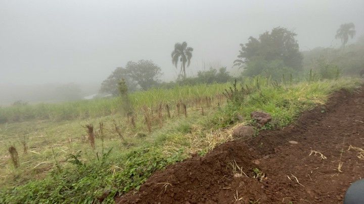 Chácara de 1 ha em Rolante, RS