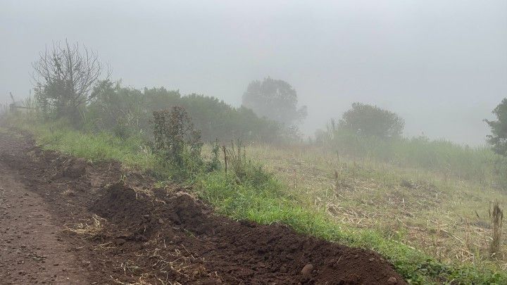 Chácara de 1 ha em Rolante, RS